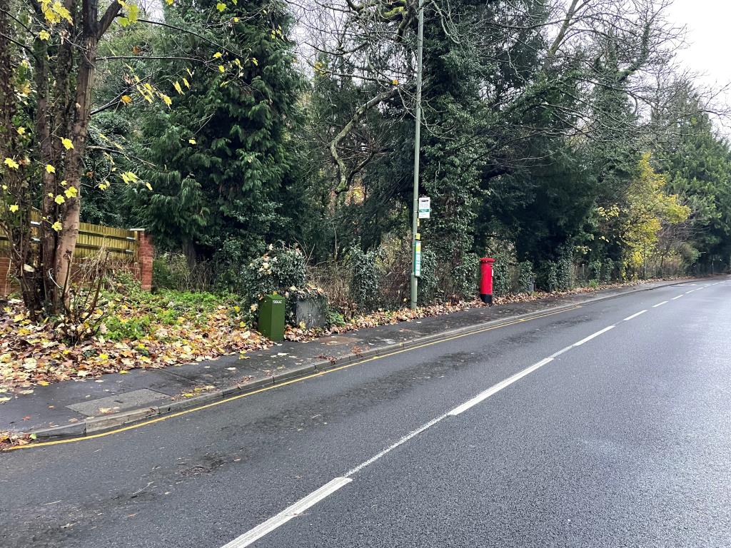 Lot: 41 - JUST OVER TWO ACRES OF WOODLAND WITH POTENTIAL - View of woodland from bottom of Whyteleafe Hill